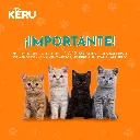 Arenero-Inteligente-Automatico-WiFi-para-Gatos-con-App-Autolimpiante-Keru-Keru-226008358.webp