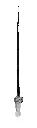 Pin.webp