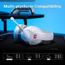 Auriculares Gamer Redragon Cronus H211w-rgb Con Usb